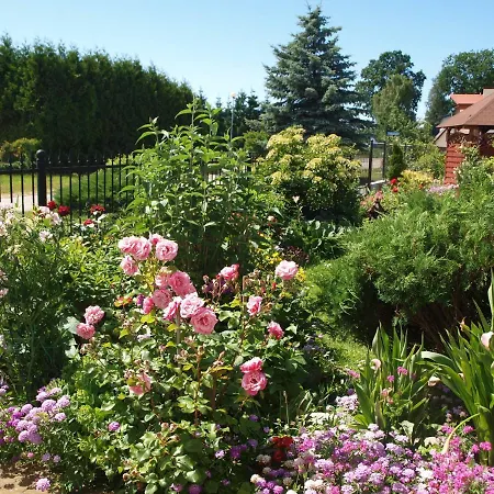 Bajka Bed & Breakfast 3*