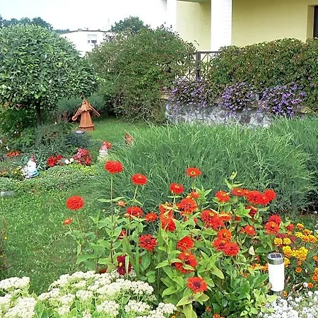 Bajka Домбки